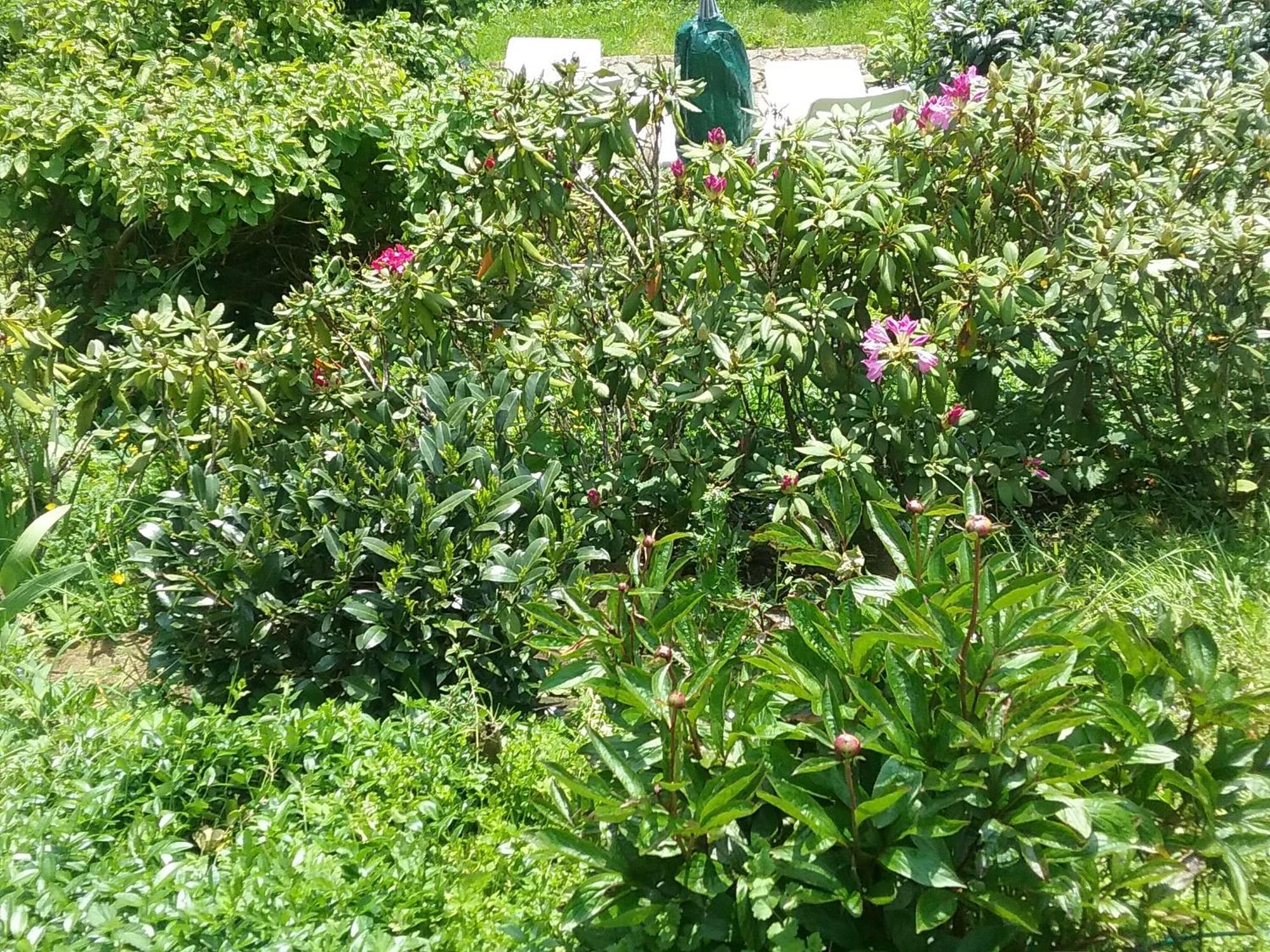 דירות מונשאו Perlenbachtal מראה חיצוני תמונה
